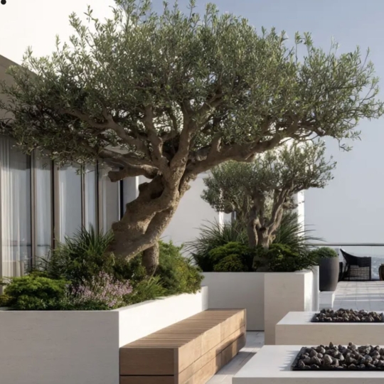  Annonces SAINTPRIEST : Appartement | TASSIN-LA-DEMI-LUNE (69160) | 130 m2 | 815 000 &euro; 