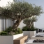  Annonces SAINTPRIEST : Appartement | TASSIN-LA-DEMI-LUNE (69160) | 130 m2 | 815 000 &euro; 