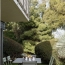  Annonces SAINTPRIEST : Appartement | CALUIRE-ET-CUIRE (69300) | 93 m2 | 516 850 &euro; 