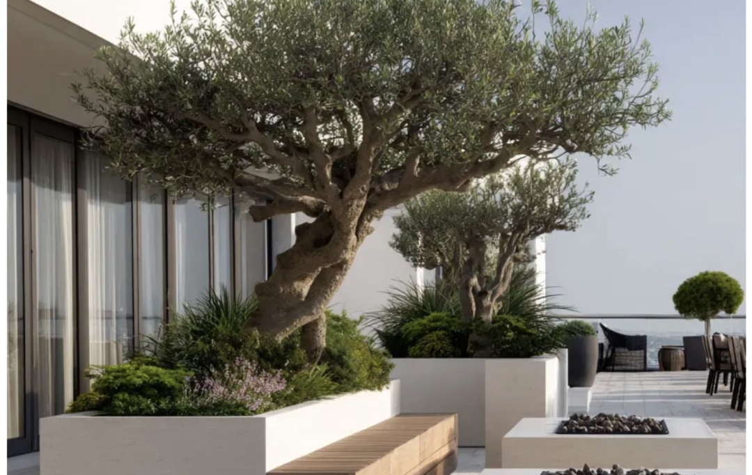 Annonces SAINTPRIEST : Appartement | TASSIN-LA-DEMI-LUNE (69160) | 130 m2 | 815 000 &euro; 