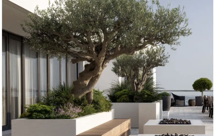  Annonces SAINTPRIEST Appartement | TASSIN-LA-DEMI-LUNE (69160) | 130 m2 | 815 000 € 