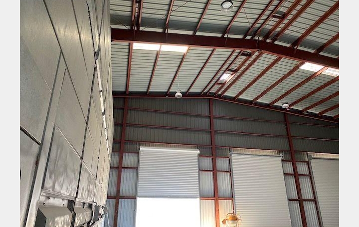 Annonces SAINTPRIEST : Local / Bureau | LYON (69001) | 2 600 m2 | 14 613 &euro; 
